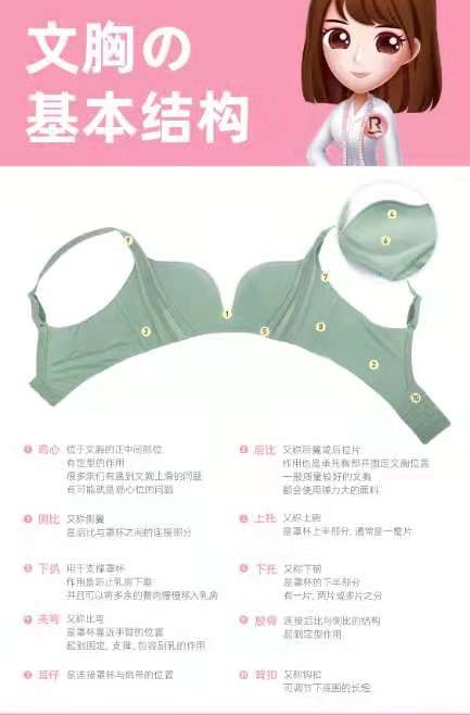 内衣的构造